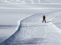 F, Isere, Gresse-en-Vercors, Barrage 3, Saxifraga-Jan van der Straaten