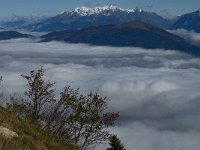 F, Isere, Gresse-en-Vercors, Belledonne 1, Saxifraga-Jan van der Straaten