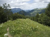 F, Isere, Gresse-en-Vercors, Brisou 5, Saxifraga-Willem van Kruijsbergen