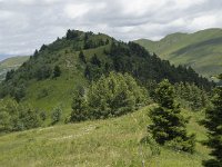 F, Isere, Gresse-en-Vercors, Brisou 6, Saxifraga-Willem van Kruijsbergen