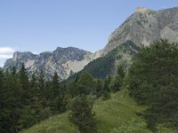 F, Isere, Gresse-en-Vercors, Brisou 9, Saxifraga-Willem van Kruijsbergen