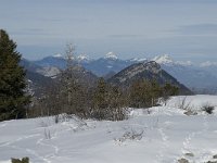 F, Isere, Gresse-en-Vercors, Chartreuse 1, Saxifraga-Jan van der Straaten