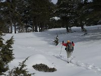 F, Isere, Gresse-en-Vercors, Chauplane 1, Saxifraga-Marijke Verhagen