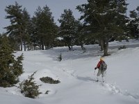 F, Isere, Gresse-en-Vercors, Chauplane 4, Saxifraga-Marijke Verhagen