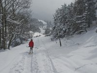 F, Isere, Gresse-en-Vercors, Chauplane 6, Saxifraga-Jan van der Straaten