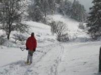 F, Isere, Gresse-en-Vercors, Chauplane 7, Saxifraga-Jan van der Straaten