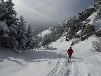 F, Isere, Gresse-en-Vercors, Chauplane 8, Saxifraga-Jan van der Straaten