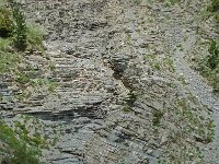 F, Isere, Gresse-en-Vercors, Col de l Allimas 1, Saxifraga-Willem van Kruijsbergen