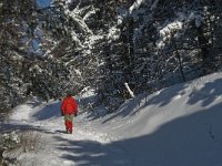 F, Isere, Gresse-en-Vercors, Col de l Allimas 2, Saxifraga-Jan van der Straaten