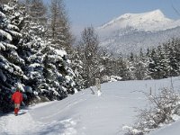 F, Isere, Gresse-en-Vercors, Col de l Allimas 3, Saxifraga-Jan van der Straaten