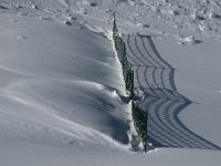 F, Isere, Gresse-en-Vercors, Col de l Allimas 4, Saxifraga-Jan van der Straaten