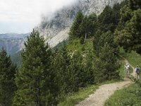 F, Isere, Gresse-en-Vercors, Col de l Aupet 17, Saxifraga-Willem van Kruijsbergen