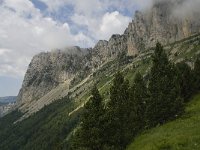 F, Isere, Gresse-en-Vercors, Col de l Aupet 21, Saxifraga-Willem van Kruijsbergen