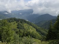 F, Isere, Gresse-en-Vercors, Col de l Aupet 22, Saxifraga-Willem van Kruijsbergen