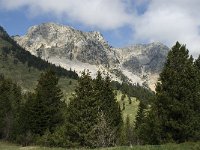 F, Isere, Gresse-en-Vercors, Col de l Aupet 4, Saxifraga-Jan van der Straaten