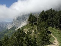 F, Isere, Gresse-en-Vercors, Col de l Aupet 7, Saxifraga-Jan van der Straaten