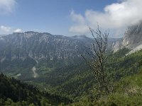 F, Isere, Gresse-en-Vercors, Col de l Aupet 8, Saxifraga-Jan van der Straaten