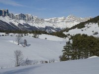 F, Isere, Gresse-en-Vercors, Col des Deux 2, Saxifraga-Jan van der Straaten