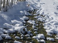 F, Isere, Gresse-en-Vercors, Col des Deux 3, Saxifraga-Jan van der Straaten