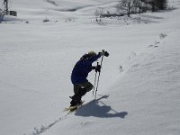 F, Isere, Gresse-en-Vercors, Col des Deux 5, Saxifraga-Jan van der Straaten