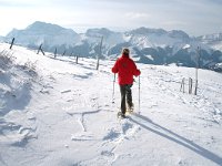 F, Isere, Gresse-en-Vercors, Grand Veymont 1, Saxifraga-Jan van der Straaten