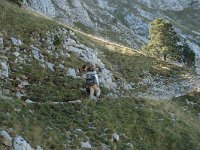 F, Isere, Gresse-en-Vercors, Grand Veymont 11, Saxifraga-Marijke Verhagen