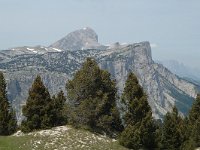 F, Isere, Gresse-en-Vercors, Grand Veymont 17, Saxifraga-Jan van der Straaten