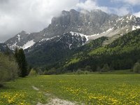 F, Isere, Gresse-en-Vercors, Grand Veymont 23, Saxifraga-Marijke Verhagen