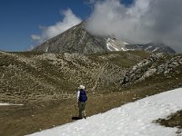 F, Isere, Gresse-en-Vercors, Grand Veymont 25, Saxifraga-Jan van der Straaten