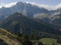 F, Isere, Gresse-en-Vercors, Grand Veymont 39, Saxifraga-Jan van der Straaten