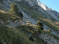 F, Isere, Gresse-en-Vercors, Grand Veymont 7, Saxifraga-Marijke Verhagen