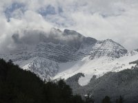 F, Isere, Gresse-en-Vercors, Grand Veymont 9, Saxifraga-Jan van der Straaten