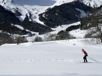 F, Isere, Gresse-en-Vercors, Gresette 2, Saxifraga-Jan van der Straaten