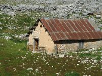 F, Isere, Gresse-en-Vercors, Jasse de la Chau 1, Saxifraga-Marijke Verhagen