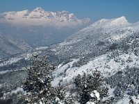 F, Isere, Gresse-en-Vercors, La Pale 5, Saxifraga-Jan van der Straaten