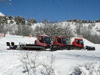 F, Isere, Gresse-en-Vercors, La Ville 24, Saxifraga-Jan van der Straaten