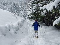 F, Isere, Gresse-en-Vercors, Les Deux 11, Saxifraga-Jan van der Straaten