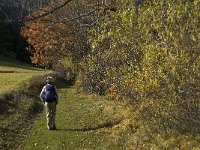 F, Isere, Gresse-en-Vercors, Les Deux 12, Saxifraga-Jan van der Straaten