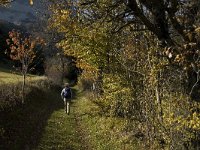 F, Isere, Gresse-en-Vercors, Les Deux 13, Saxifraga-Jan van der Straaten