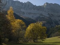 F, Isere, Gresse-en-Vercors, Les Deux 14, Saxifraga-Jan van der Straaten