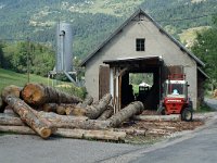 F, Isere, Gresse-en-Vercors, Les Deux 3, Saxifraga-Jan van der Straaten