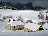 F, Isere, Gresse-en-Vercors, Les Deux 8, Saxifraga-Jan van der Straaten