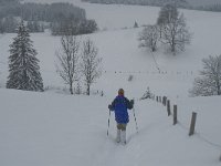 F, Isere, Gresse-en-Vercors, Les Deux 9, Saxifraga-Jan van der Straaten