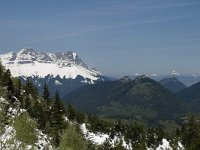 F, Isere, Gresse-en-Vercors, Les Sources de la Gresse 1, Saxifraga-Jan van der Straaten