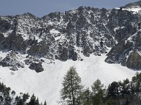 F, Isere, Gresse-en-Vercors, Les Sources de la Gresse 2, Saxifraga-Jan van der Straaten