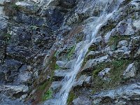 F, Isere, Gresse-en-Vercors, Les Sources de la Gresse 5, Saxifraga-Jan van der Straaten