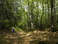 F, Isere, Gresse-en-Vercors, Maupas 2, Saxifraga-Jan van der Straaten