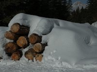 F, Isere, Gresse-en-Vercors, Menil 1, Saxifraga-Jan van der Straaten