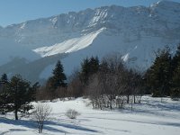 F, Isere, Gresse-en-Vercors, Menil 2, Saxifraga-Jan van der Straaten