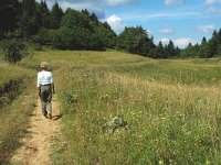 F, Isere, Gresse-en-Vercors, Menil 6, Saxifraga-Jan van der Straaten